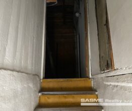 IMG_1782